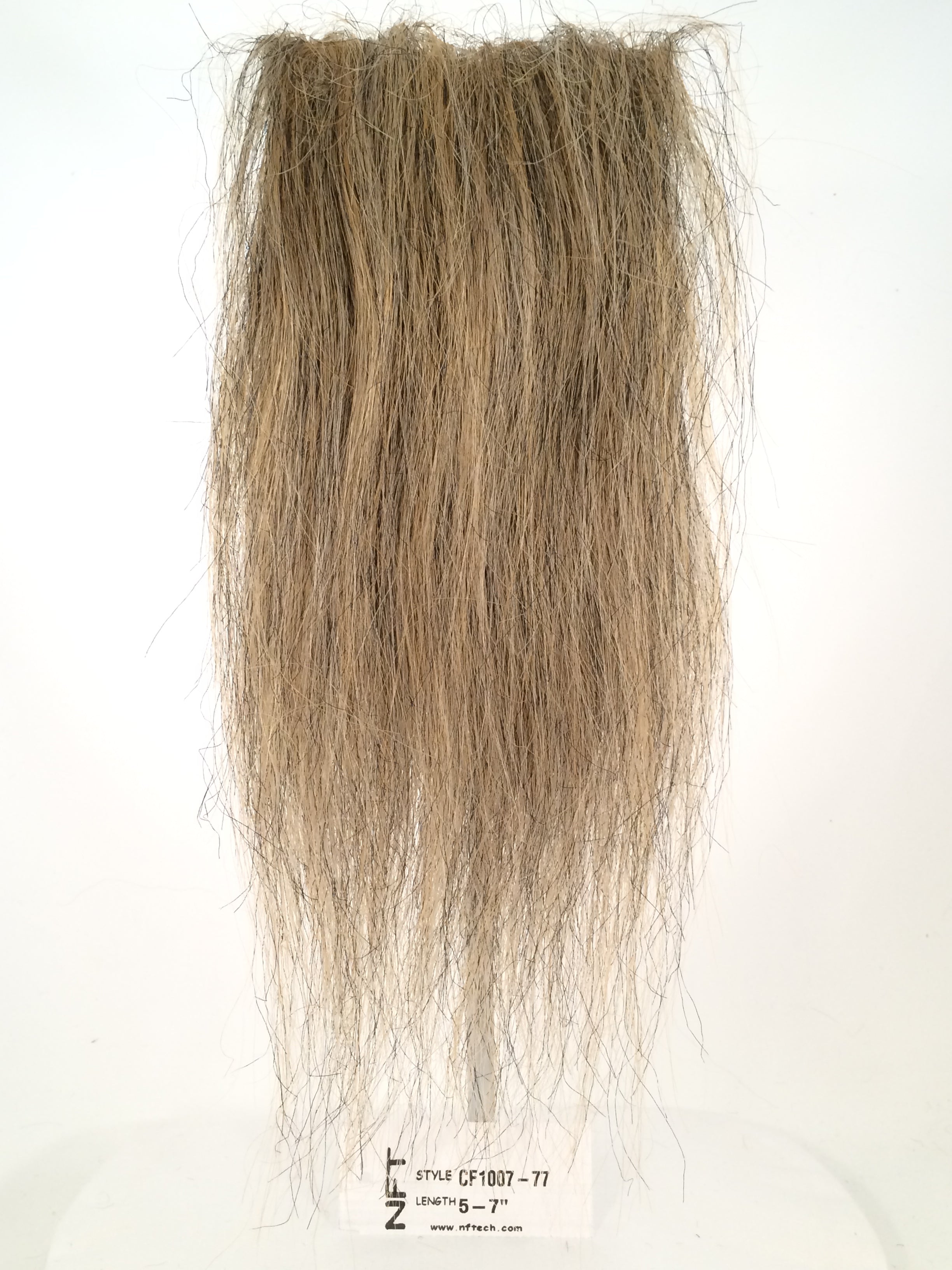 Taxidermy Lion's Mane