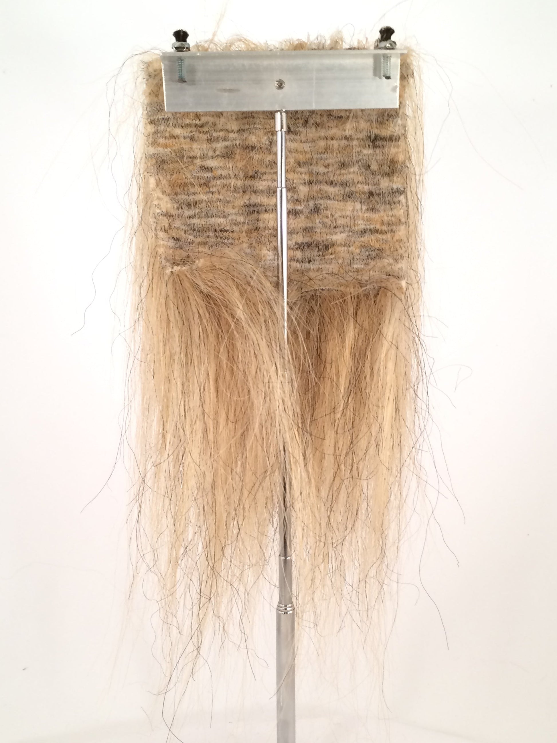 CF1007 (5-7") Golden Taxidermy Lion's Mane