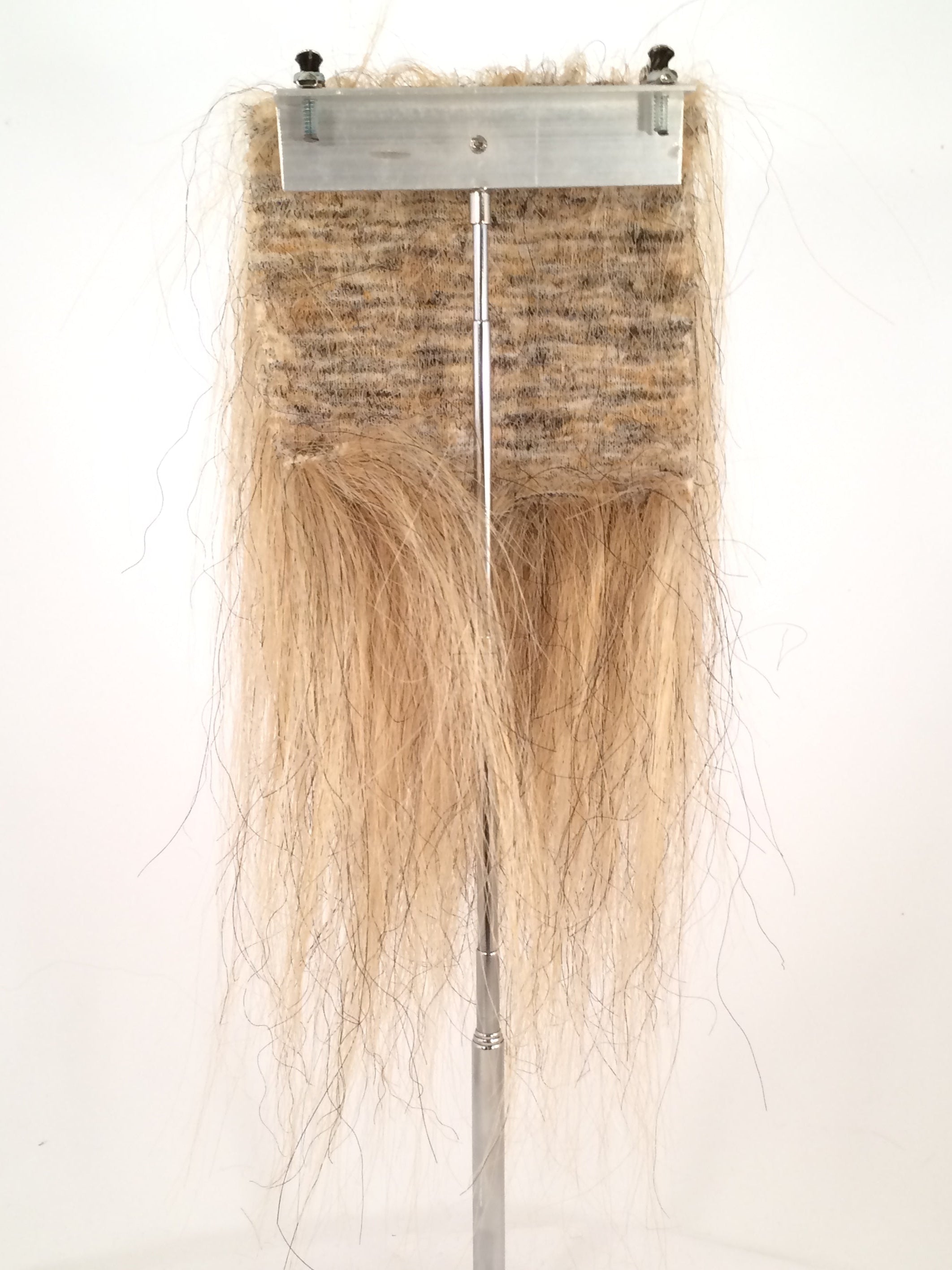 CF1007 (5-7") Golden Taxidermy Lion's Mane