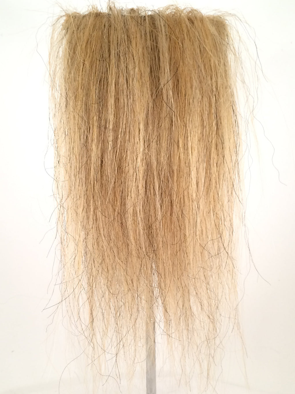 CF1007 (5-7") Golden Taxidermy Lion's Mane