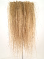 CF1007 (5-7") Golden Taxidermy Lion's Mane