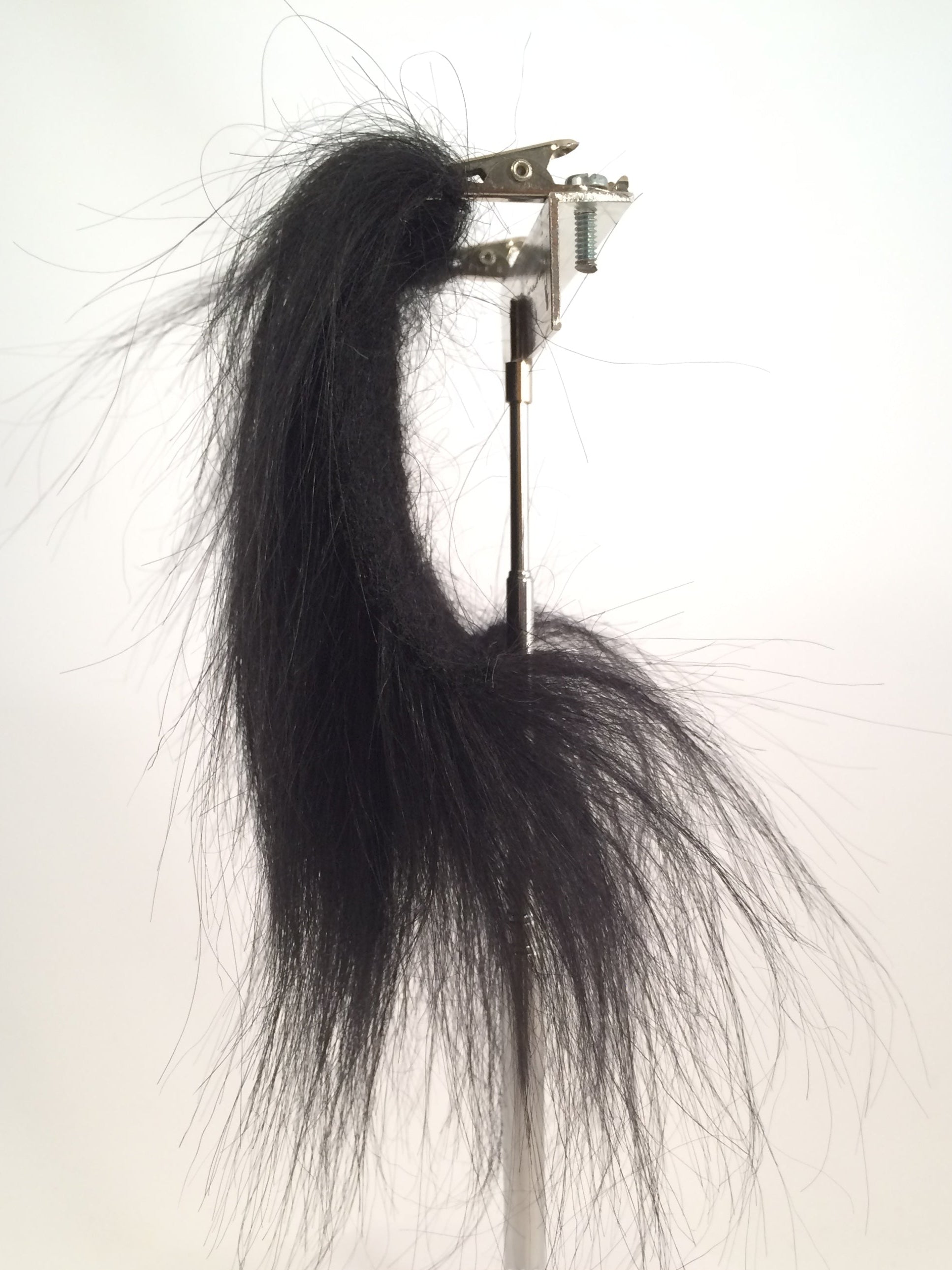CF1711 (3-4") Black Goat