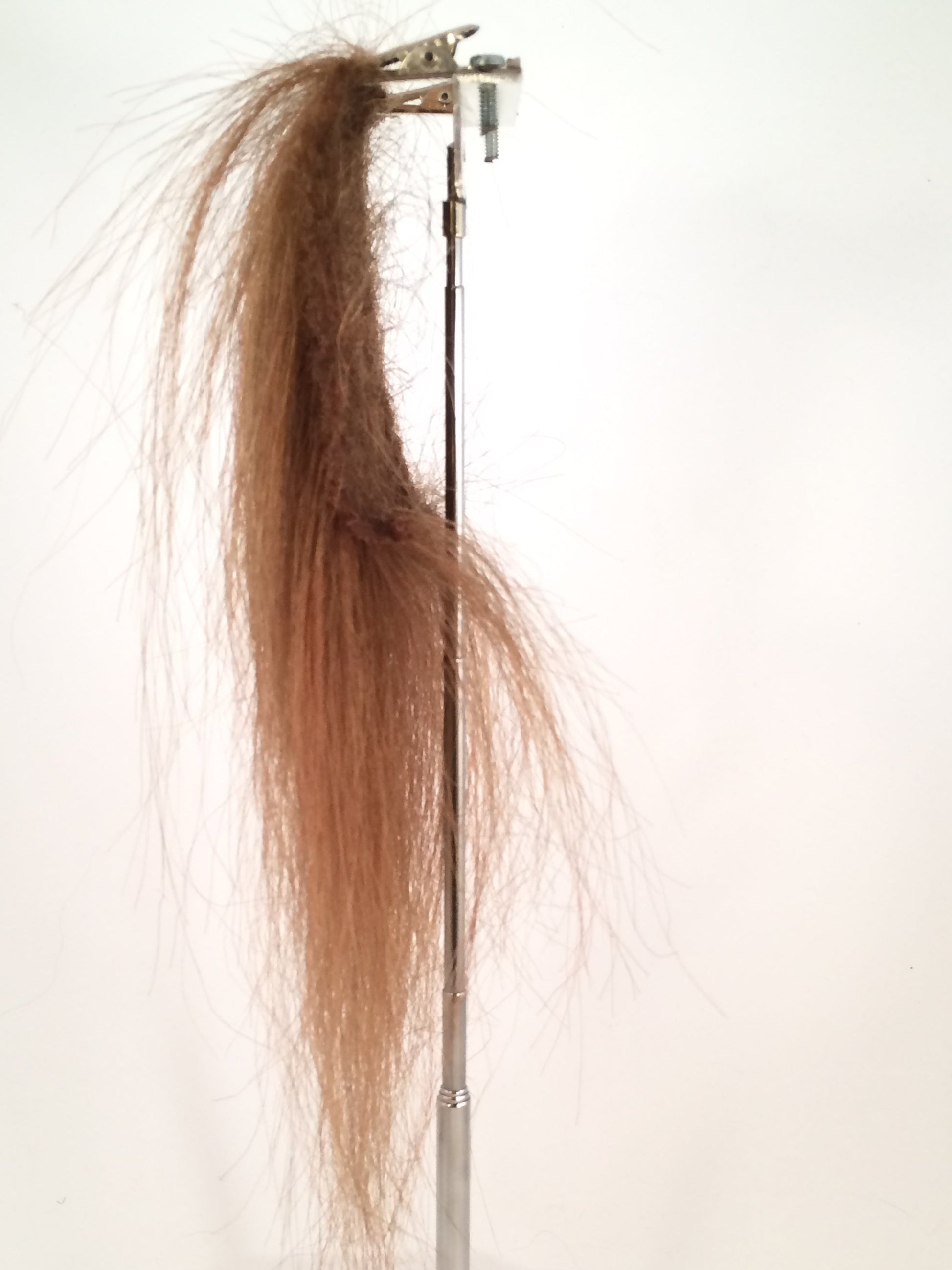 CF1728 (5-7") Full Brown Beast