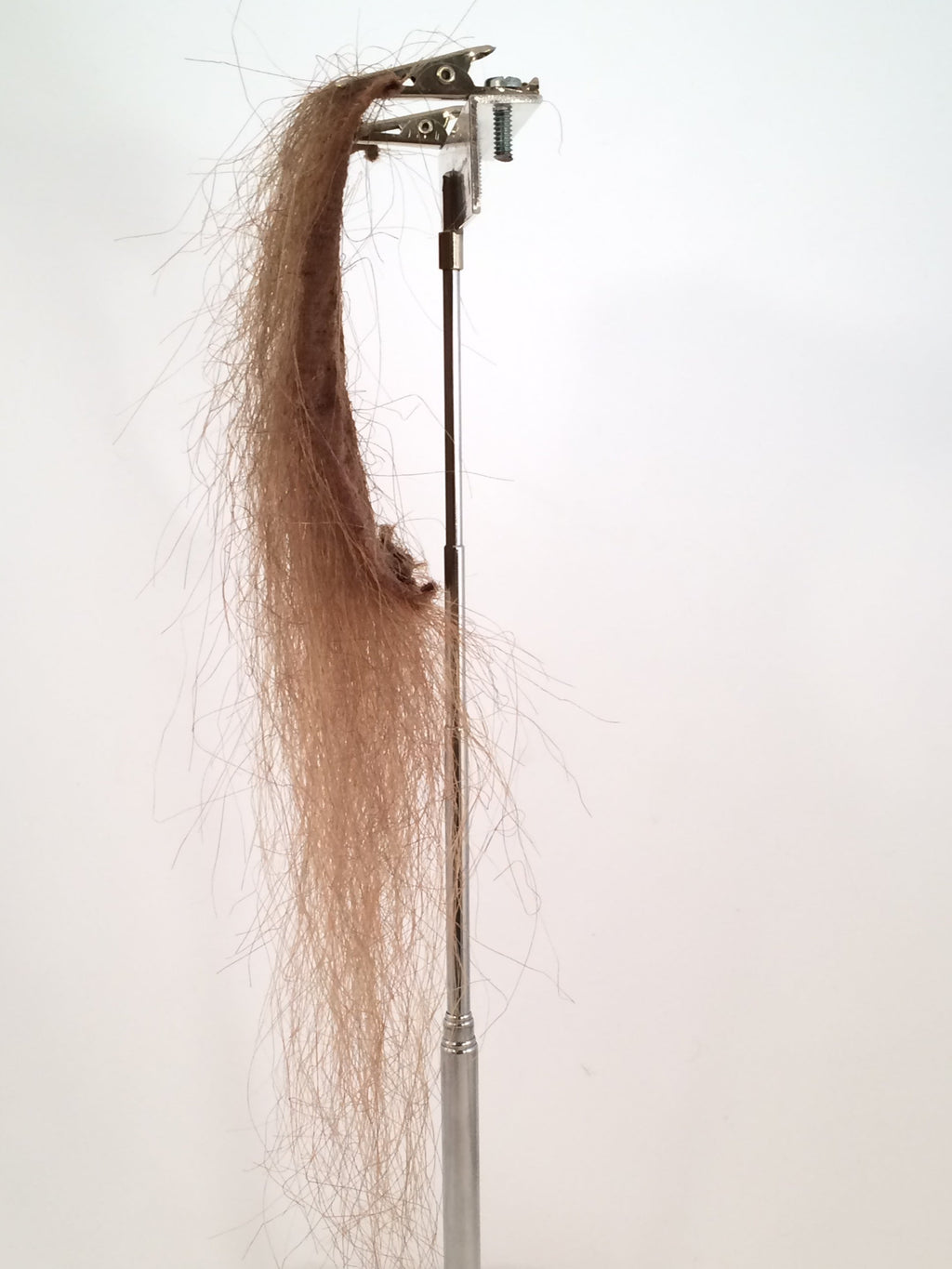 CF1730 (5-7") Sparse Brown Beast
