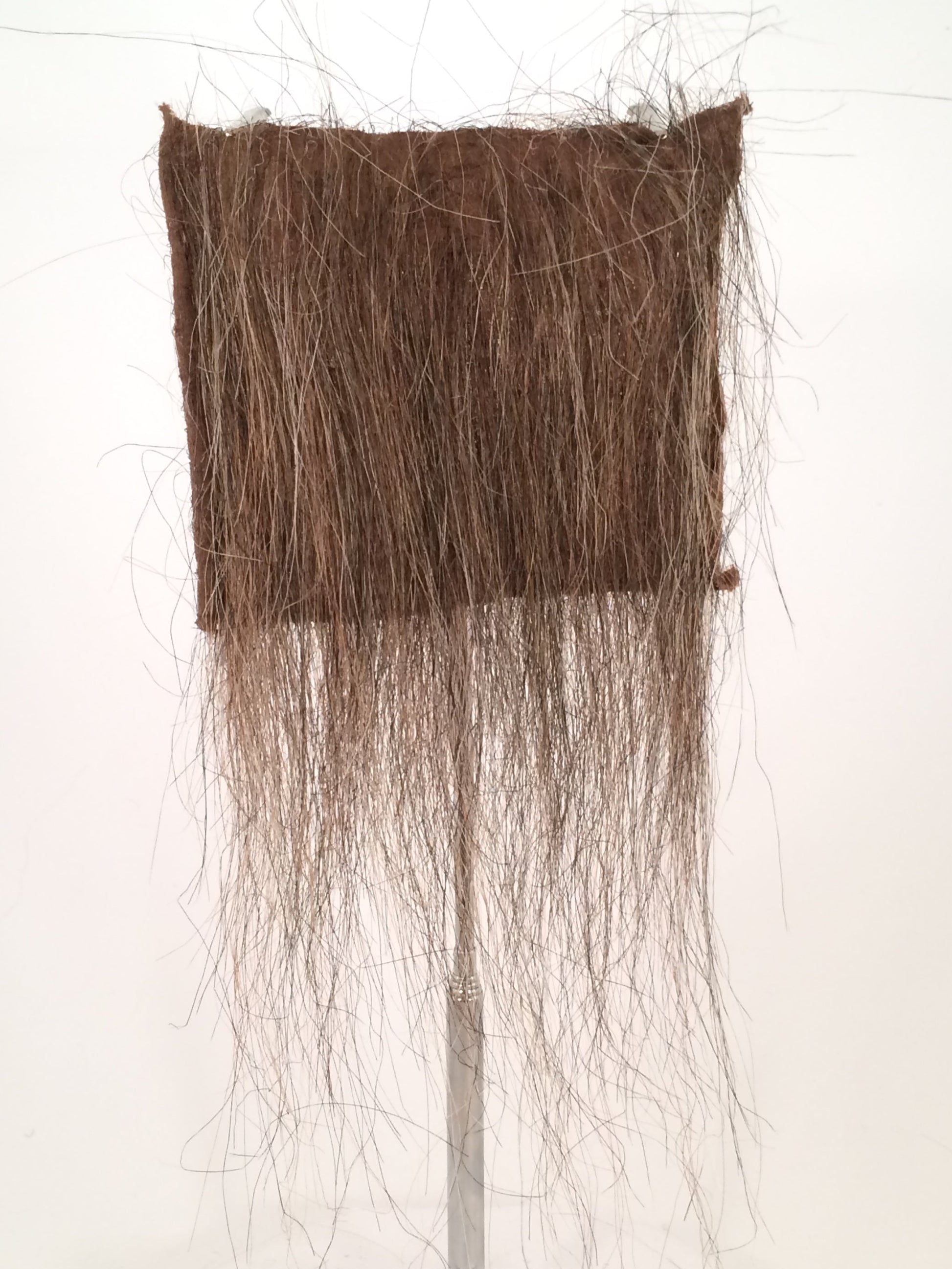 CF1736 (5-7") Medium Hairy Horror