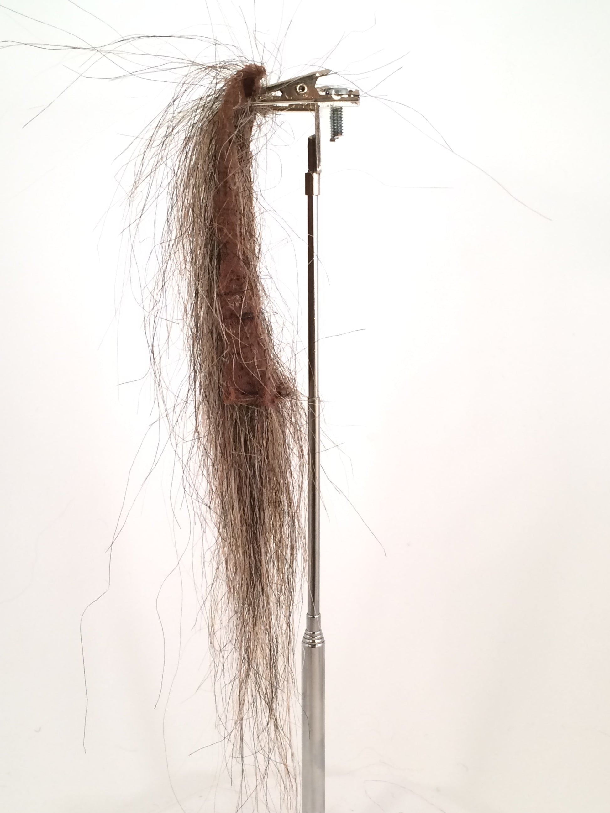 CF1736 (5-7") Medium Hairy Horror