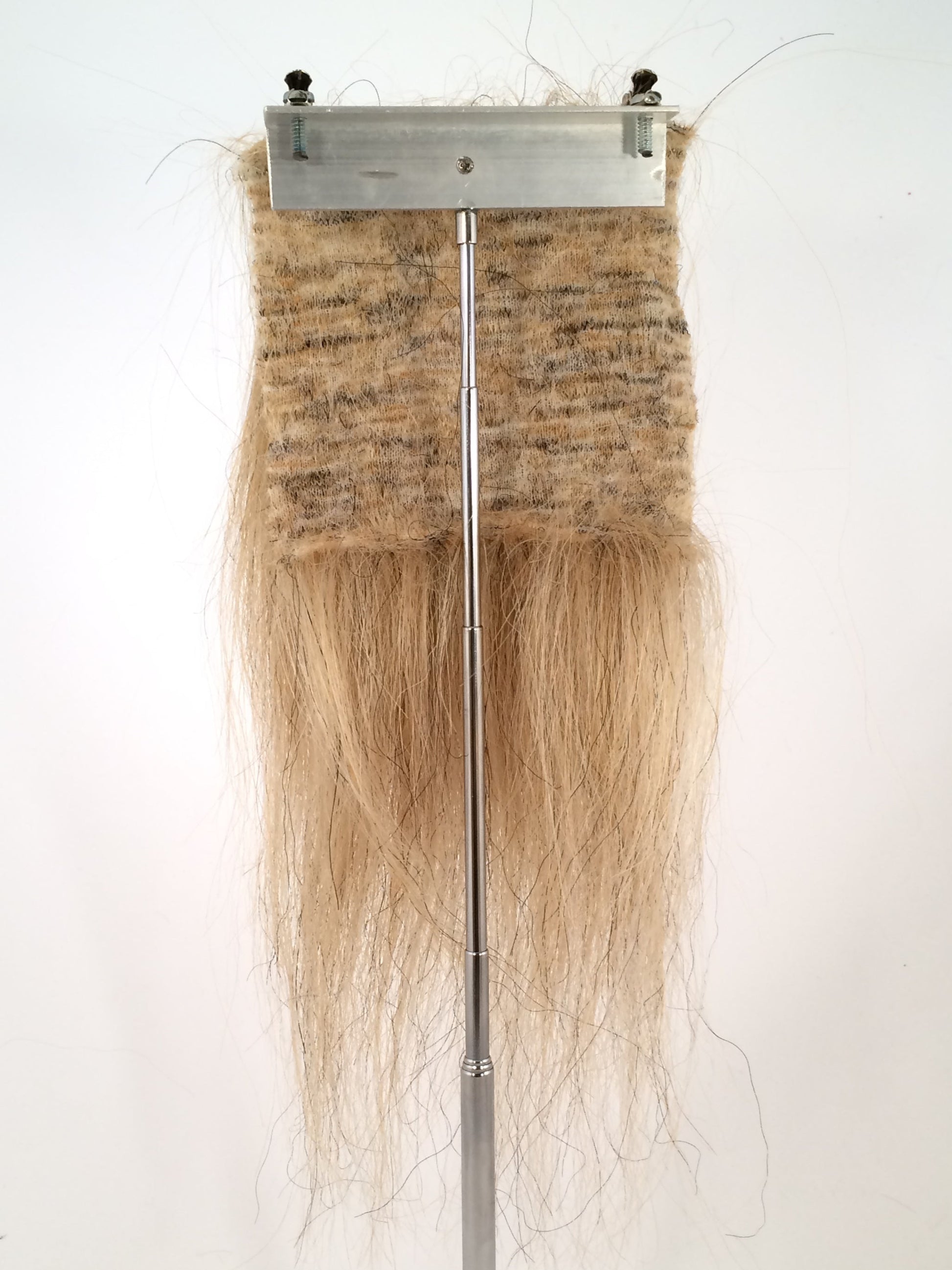 CF1743 (5-7") Blonde Lion's Mane