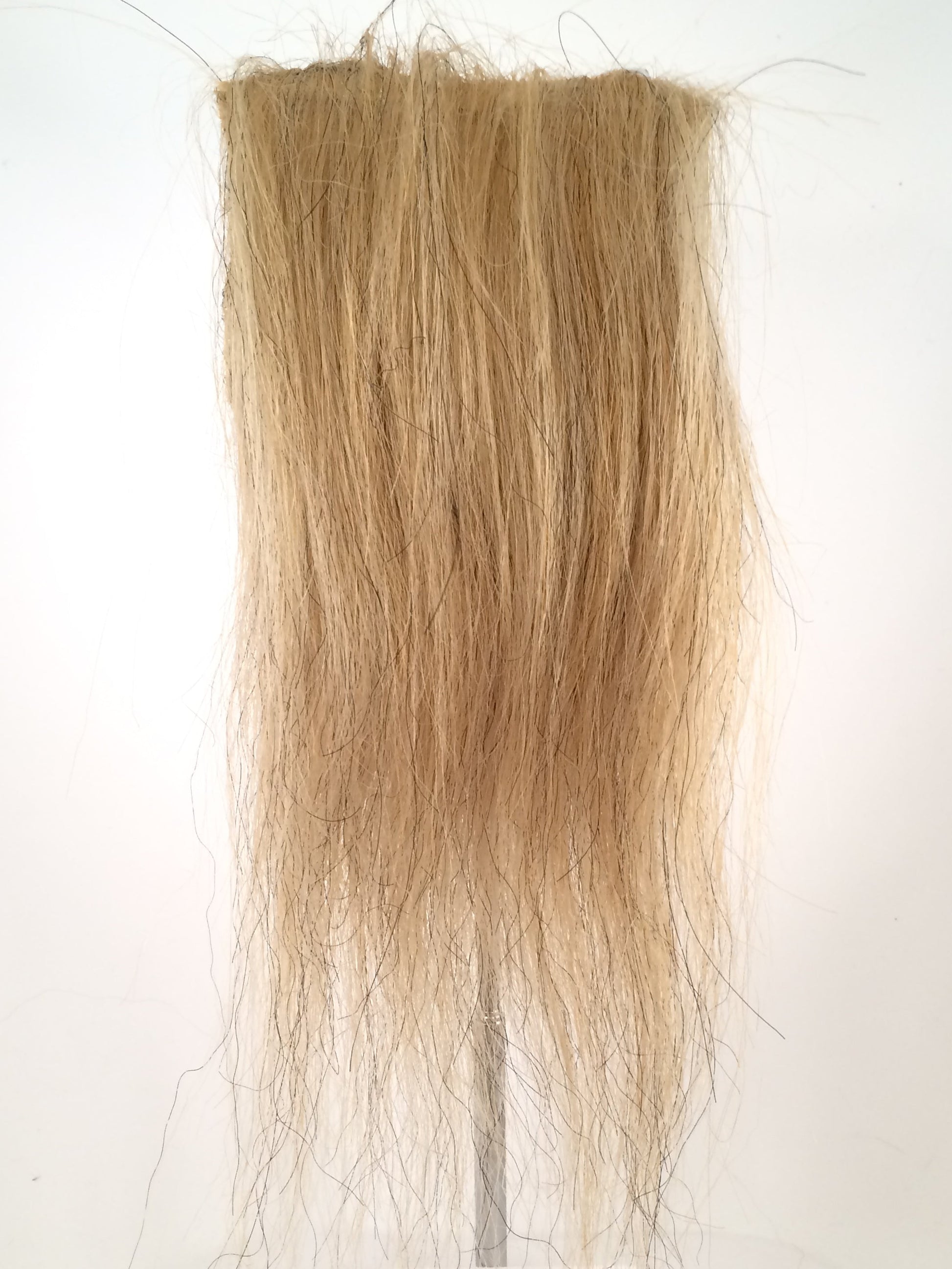 CF1743 (5-7") Blonde Lion's Mane