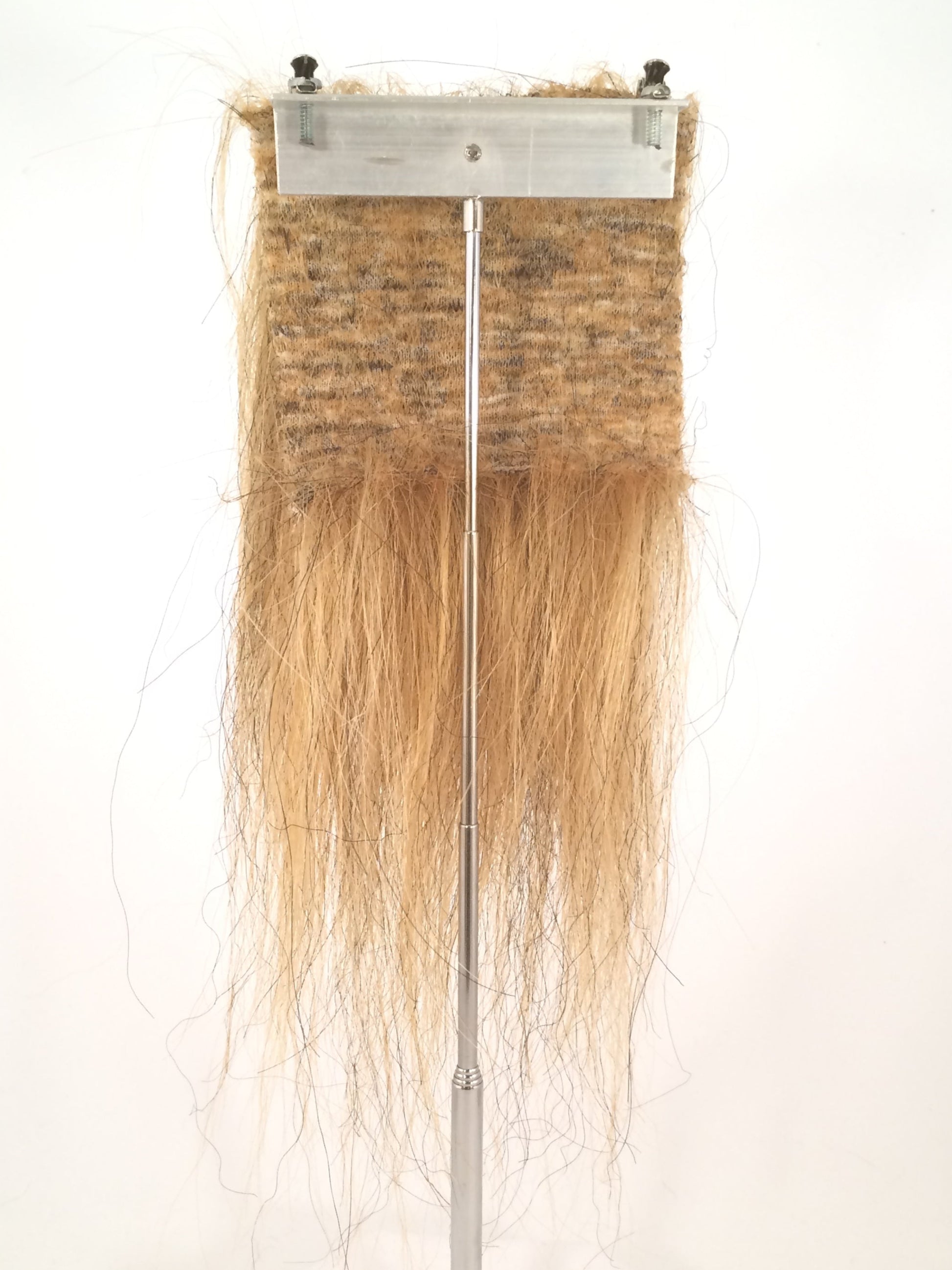CF1744 (5-7") Ochre Taxidermy Lion's Mane