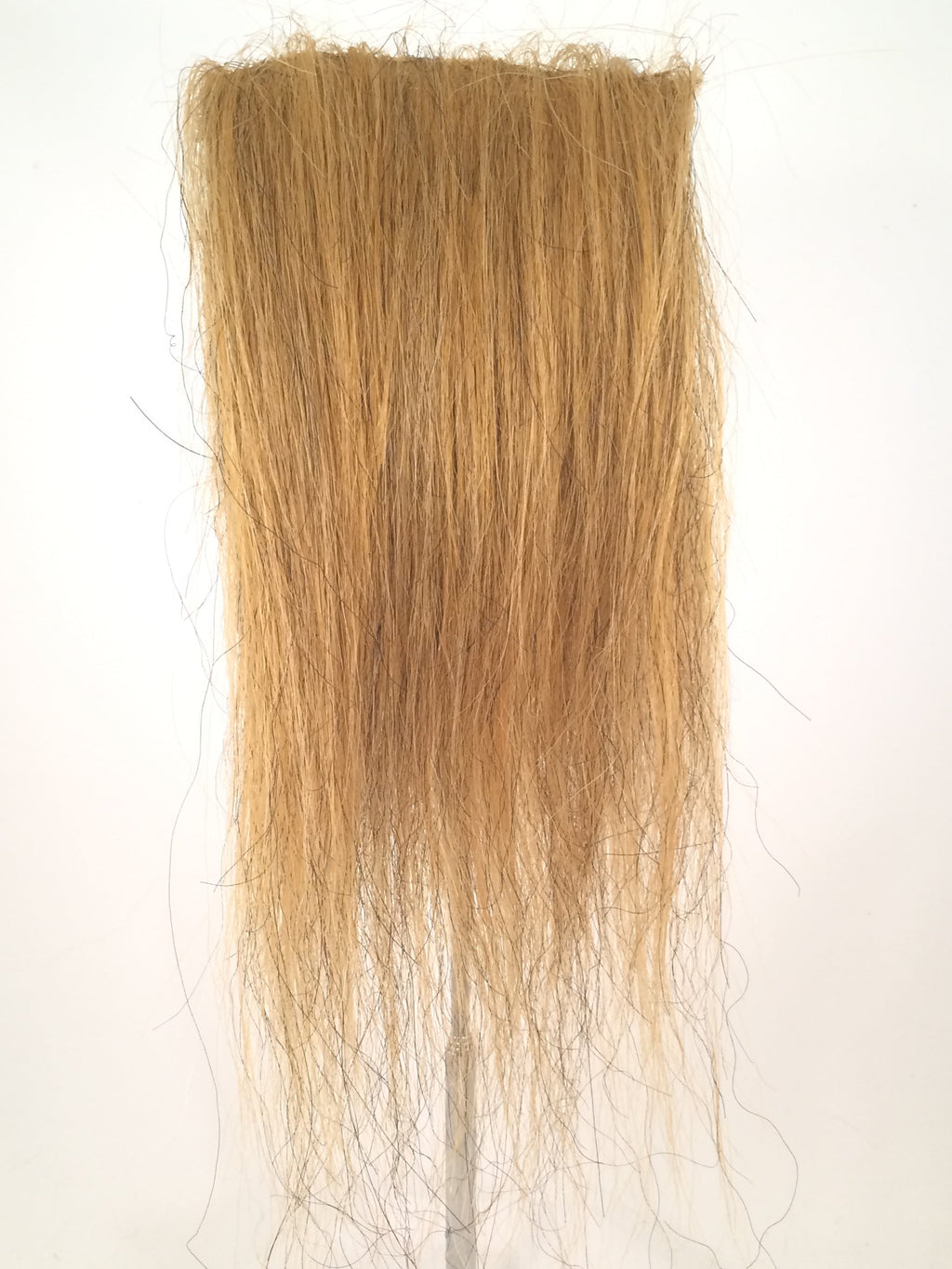 CF1744 (5-7") Ochre Taxidermy Lion's Mane
