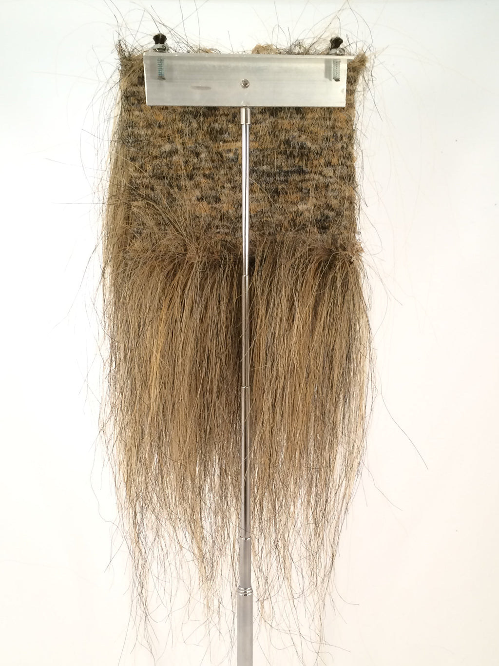 CF1745 (5-7") Ochre/ Black Taxidermy Lion's Mane