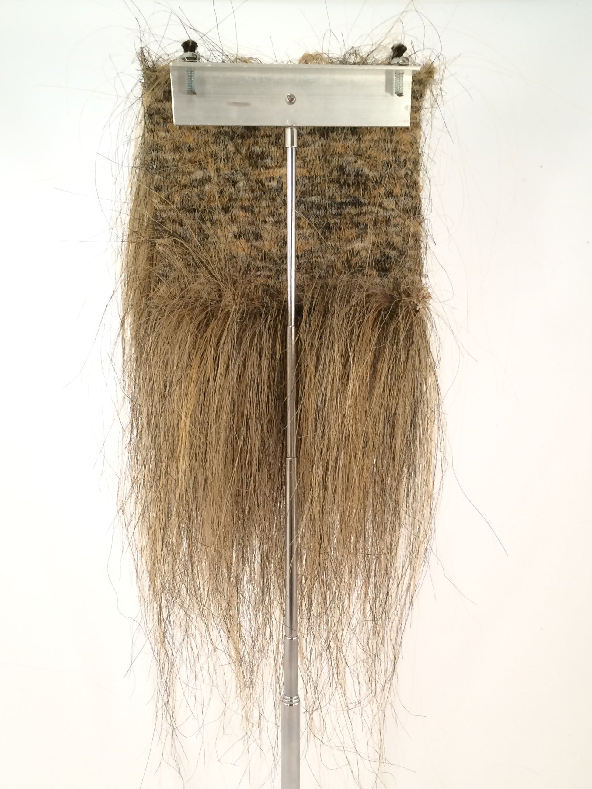 CF1745 (5-7") Ochre/ Black Taxidermy Lion's Mane