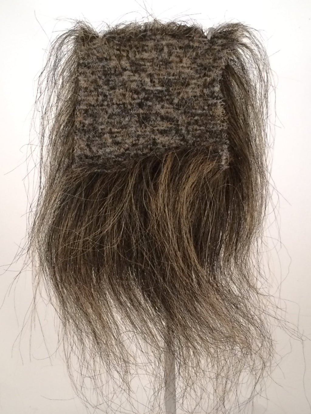CF1746 (5-7") Black Taxidermy Lion's Mane