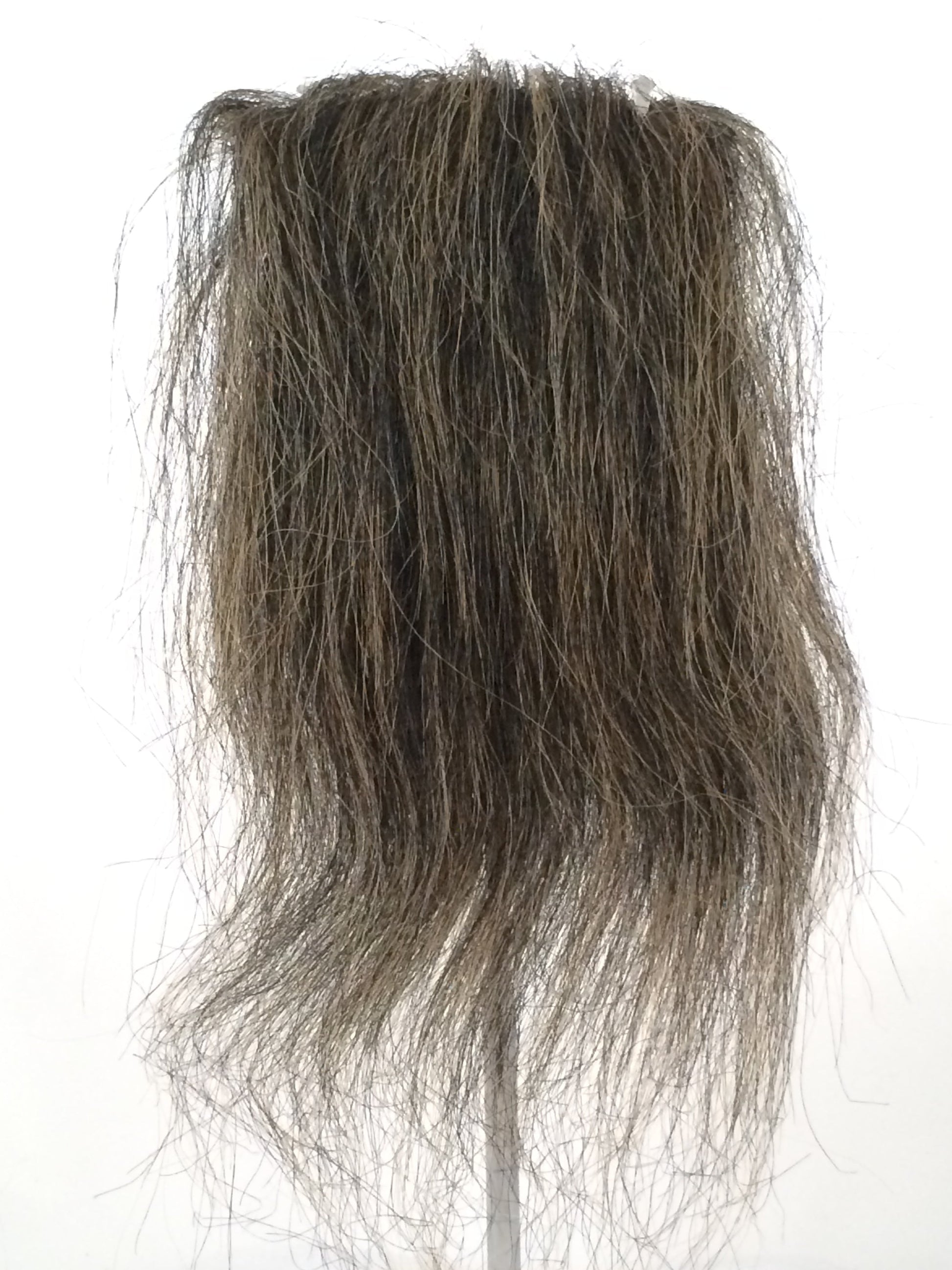 CF1746 (5-7") Black Taxidermy Lion's Mane