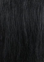 CF1754 (5-7") Black Bear
