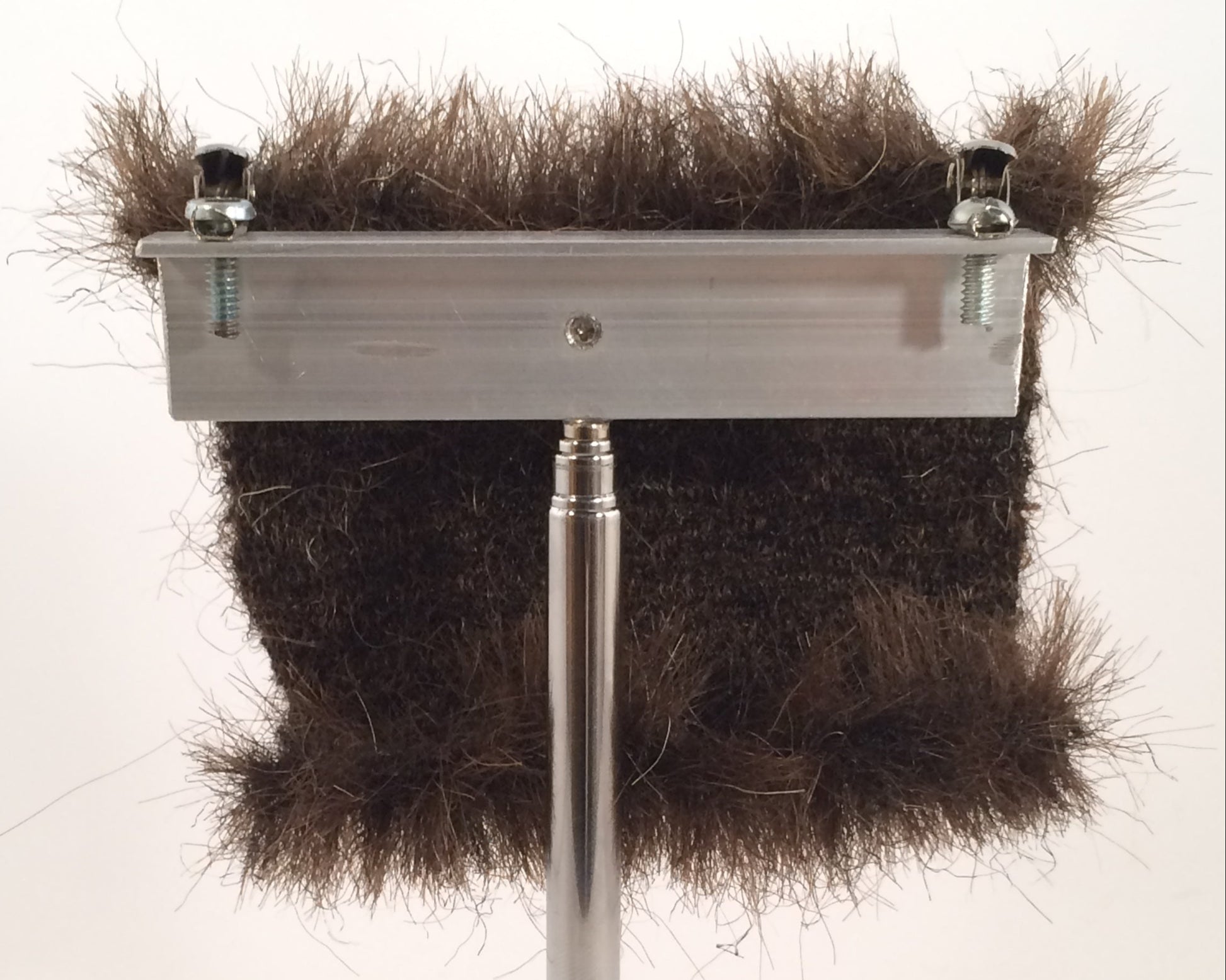 CF1755T (1/2") Brown Bear Trimmed