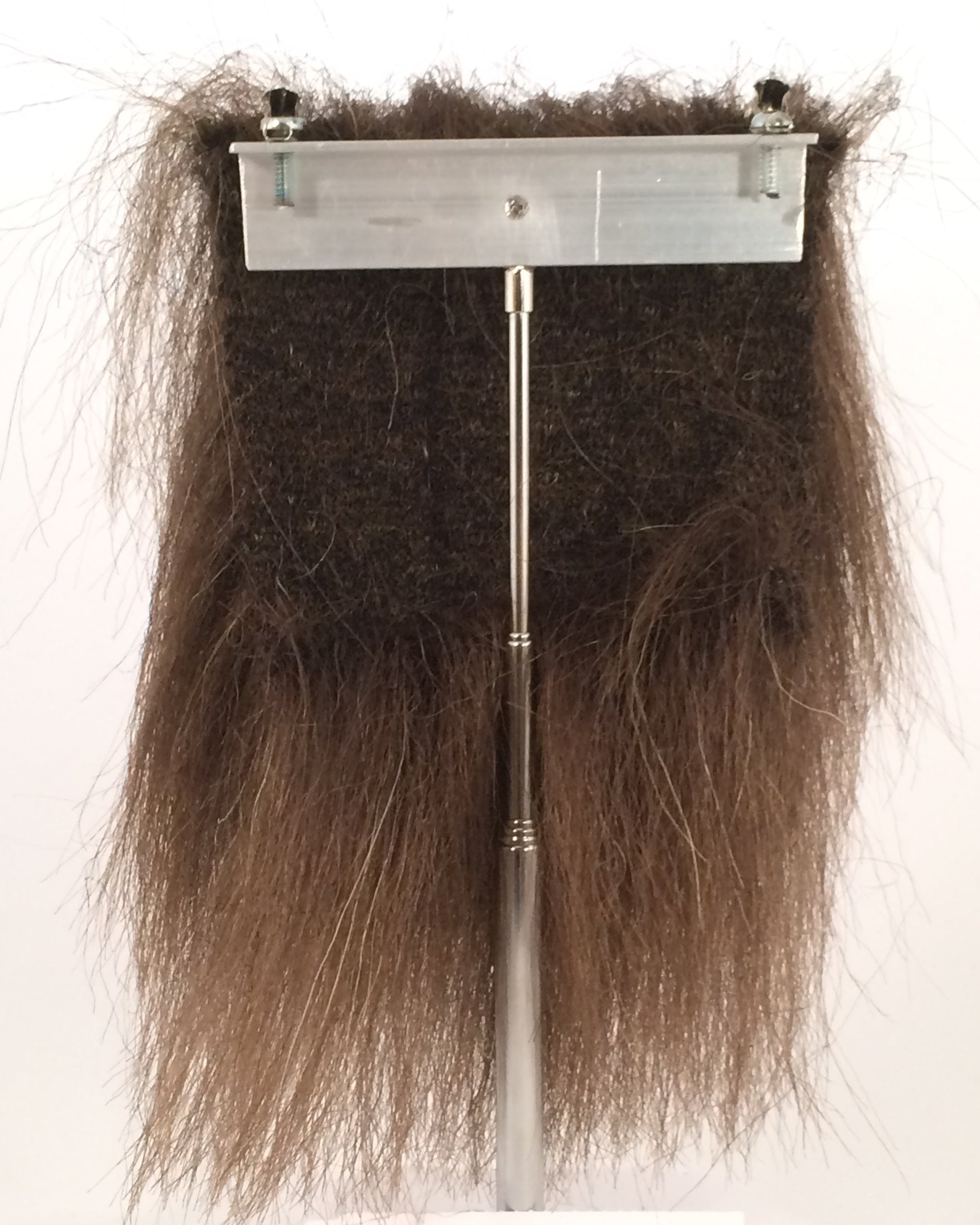 CF1755T (3-4") Brown Bear Trimmed
