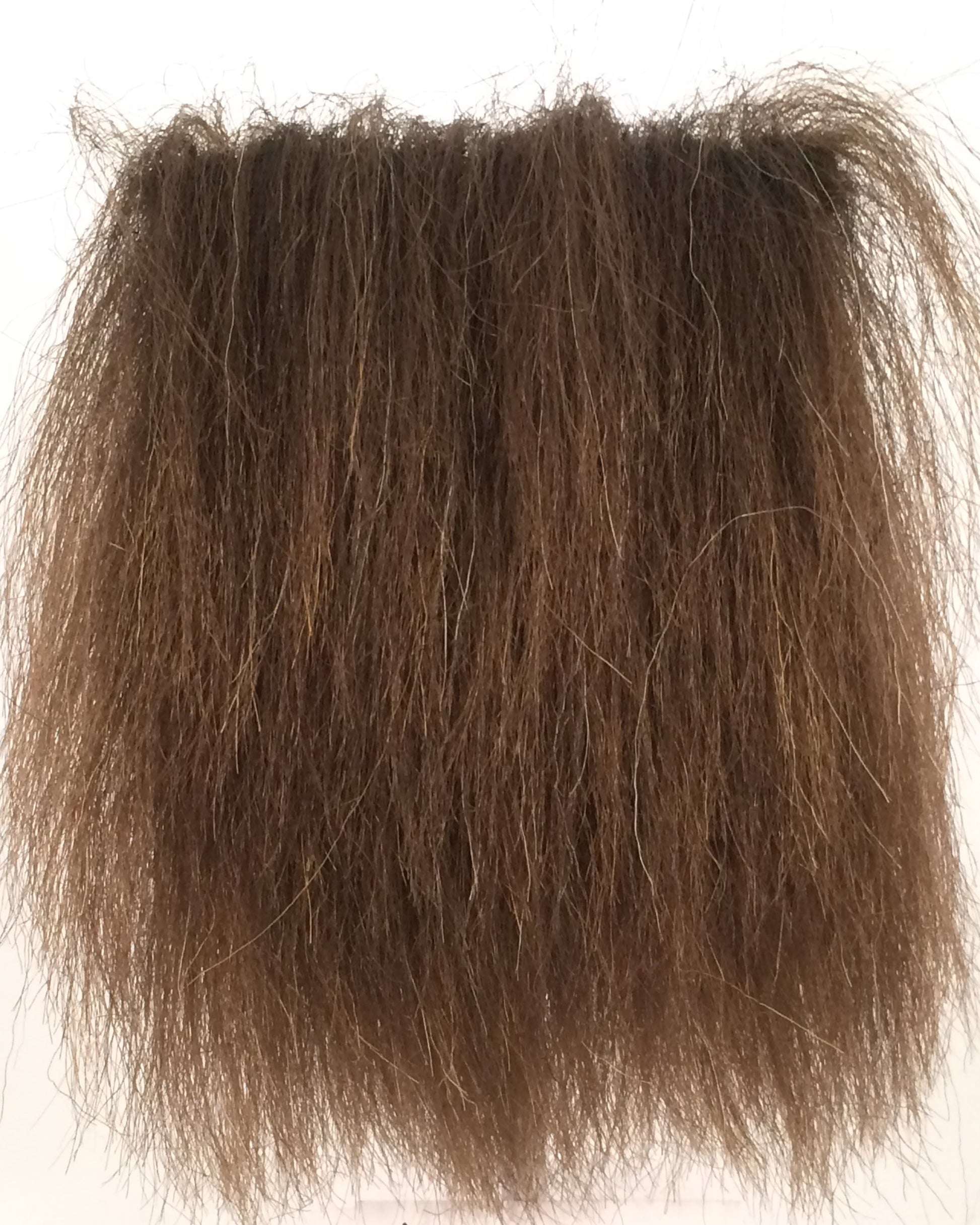 CF1755T (3-4") Brown Bear Trimmed