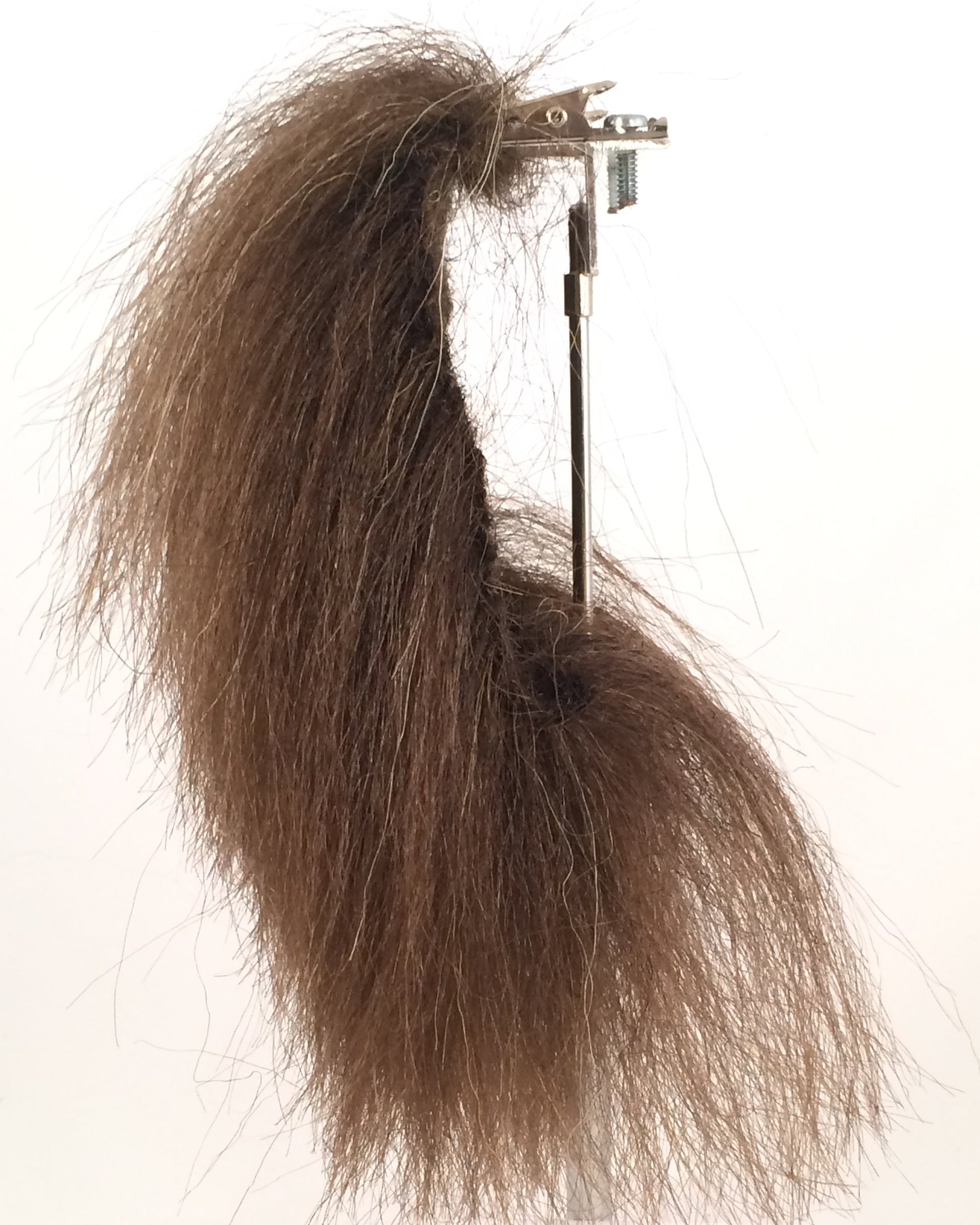 CF1755T (3-4") Brown Bear Trimmed