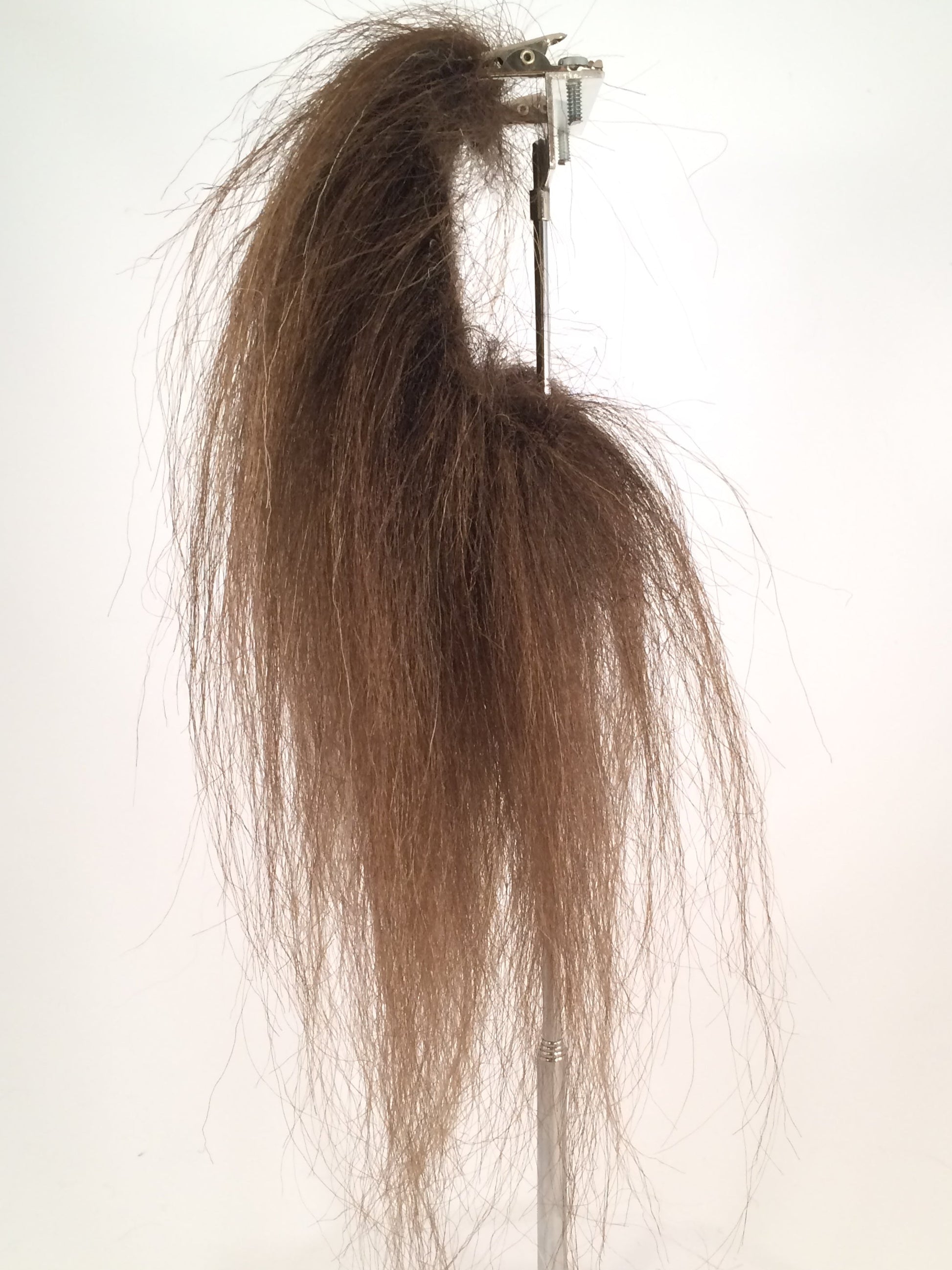 CF1755 (5-7") Brown Bear