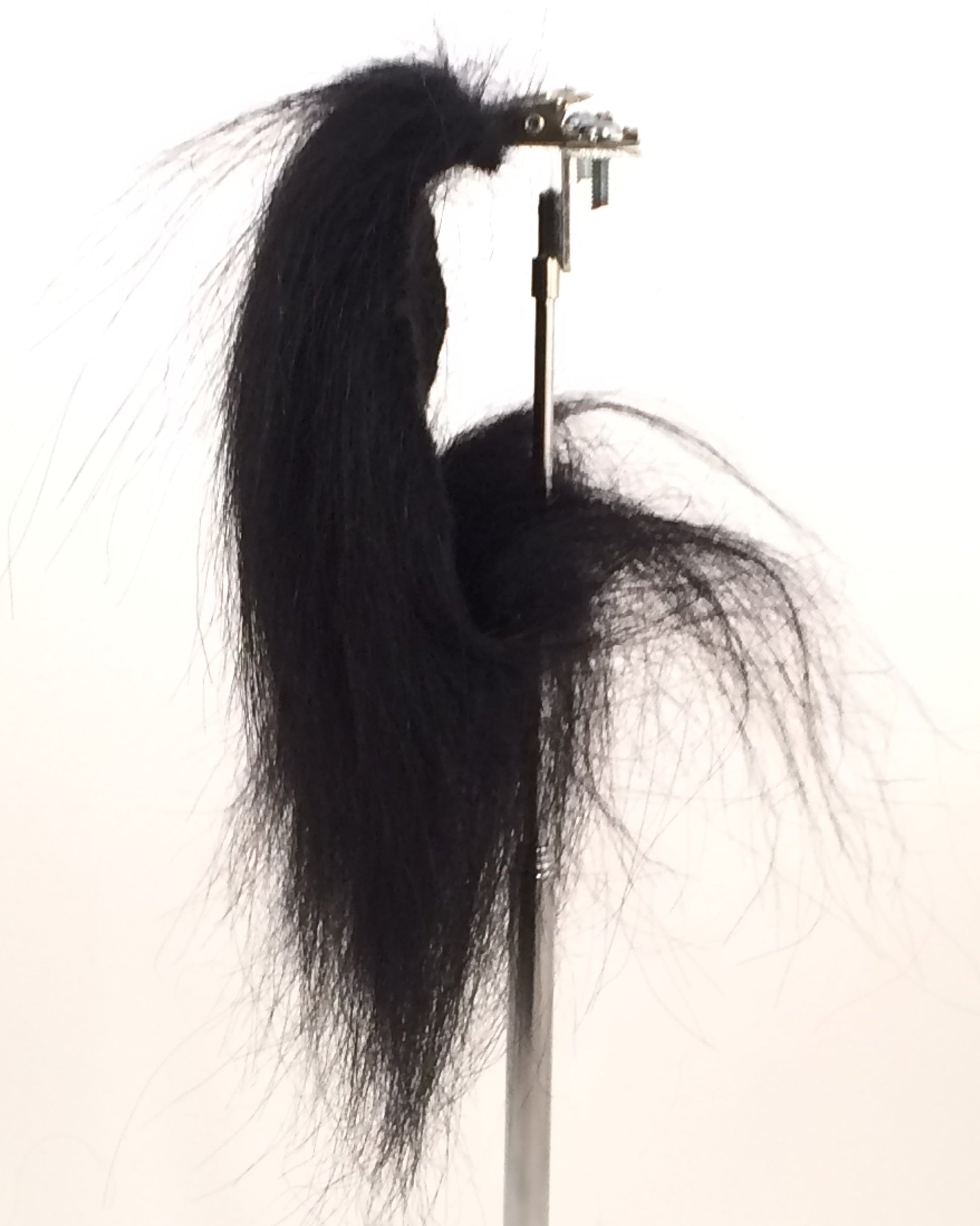 CF8812 (3-4") Black Goat with base
